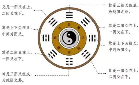 八卦用途|八卦有什么用途？